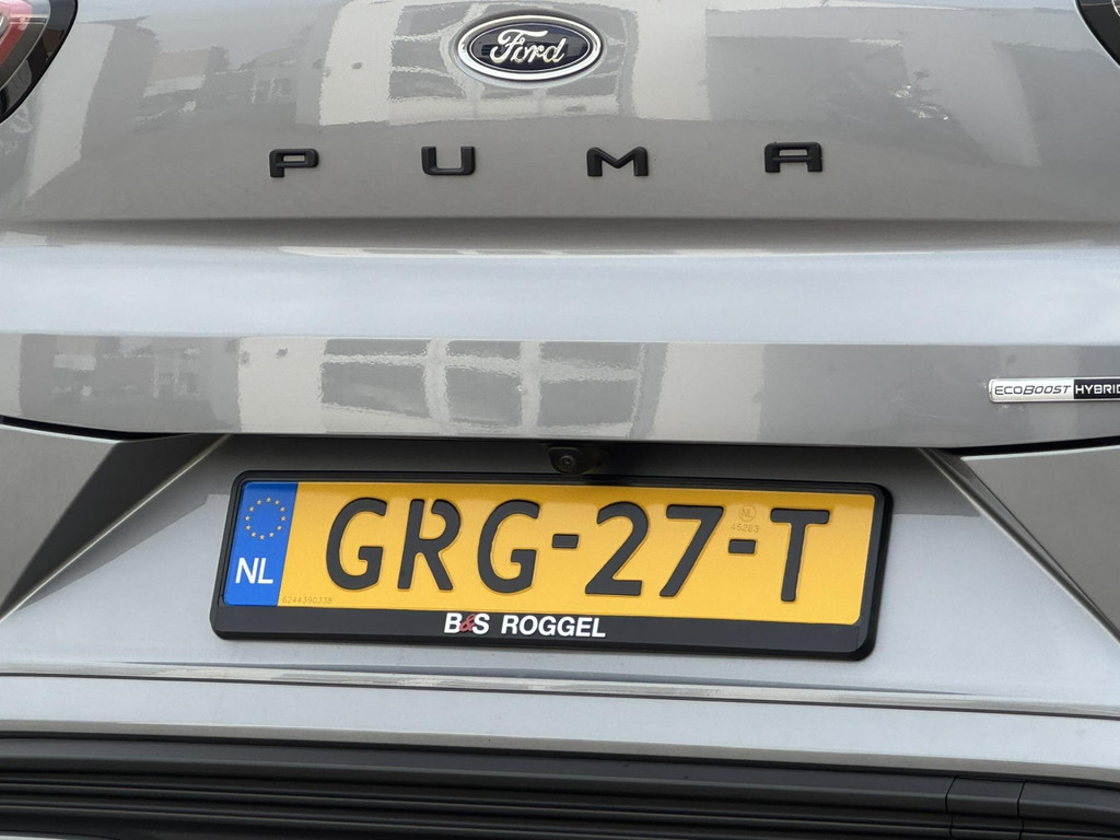 41163478-40.jpg