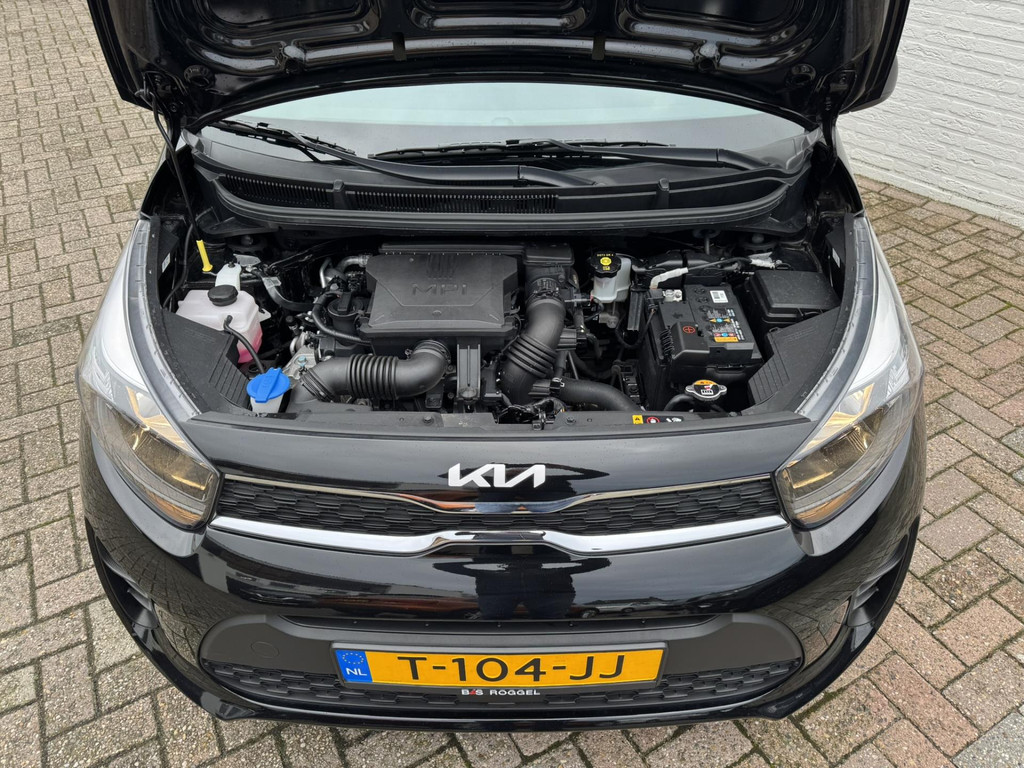 41713633-35.jpg