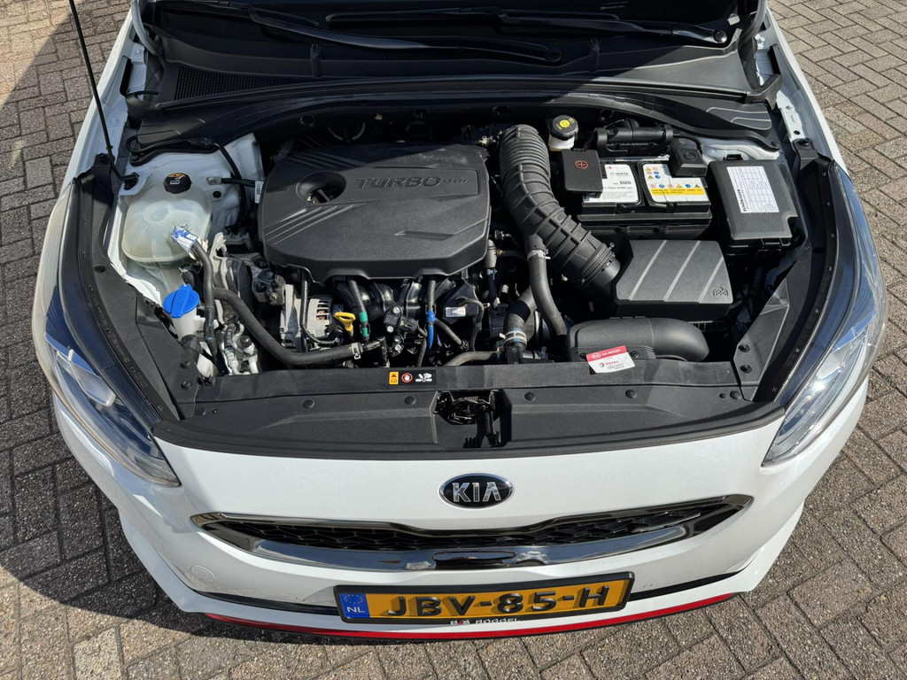47464895-47.jpg