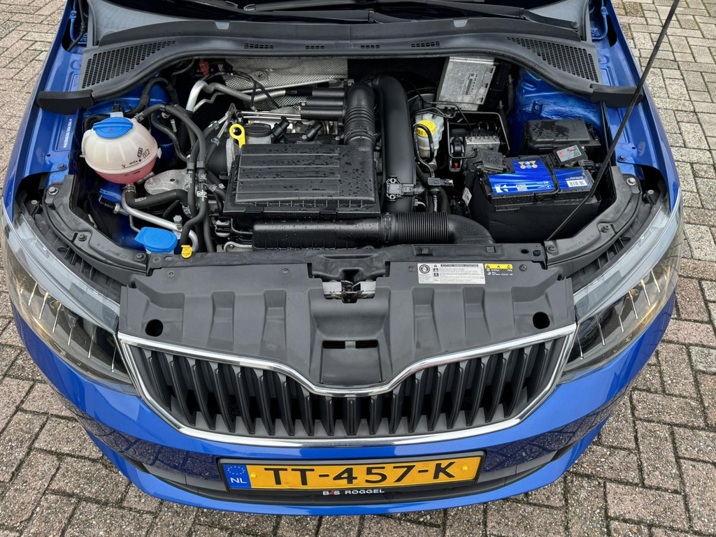 48154337-36.jpg