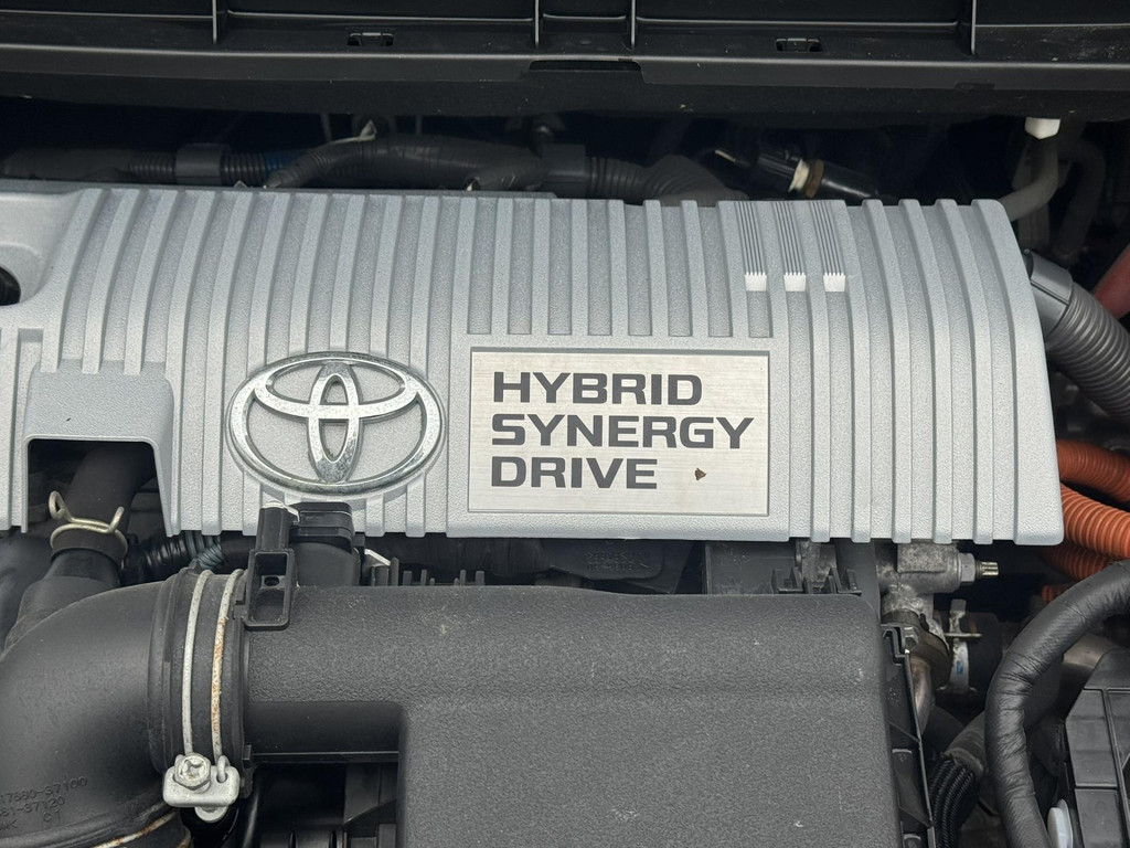 48254329-44.jpg