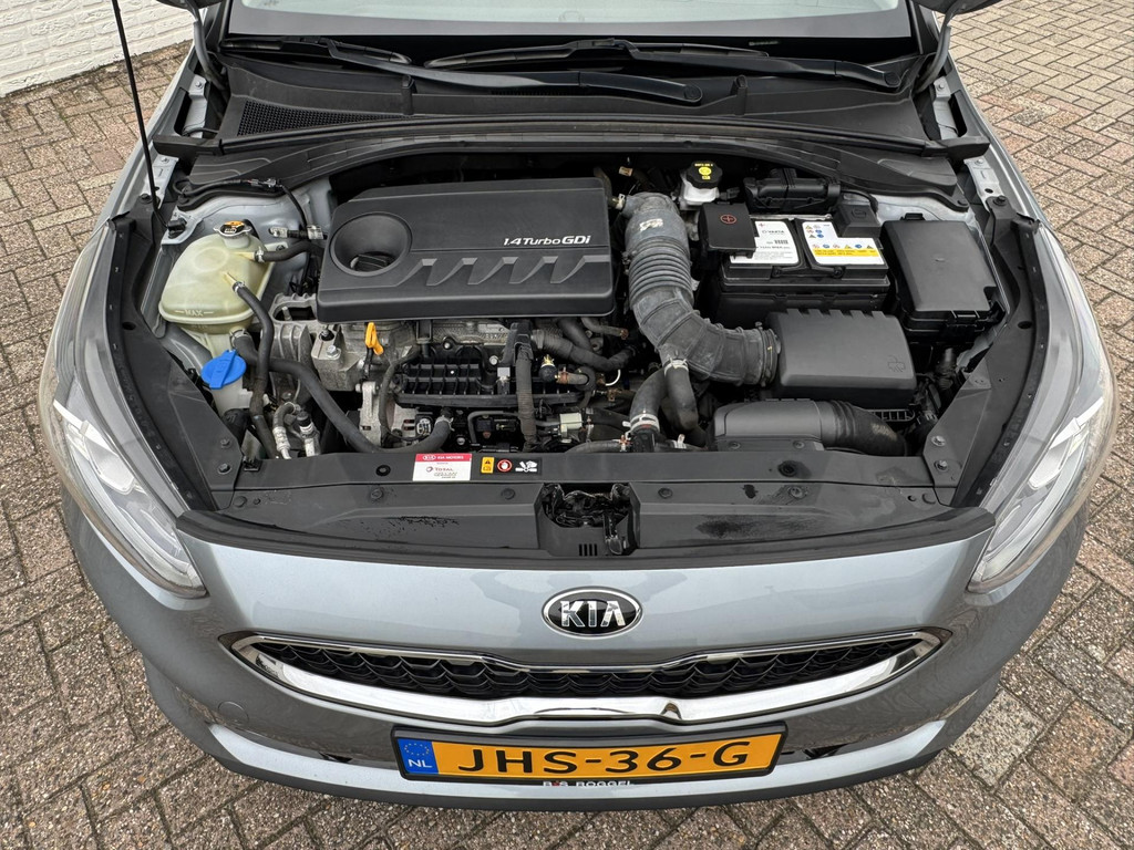 48321065-42.jpg